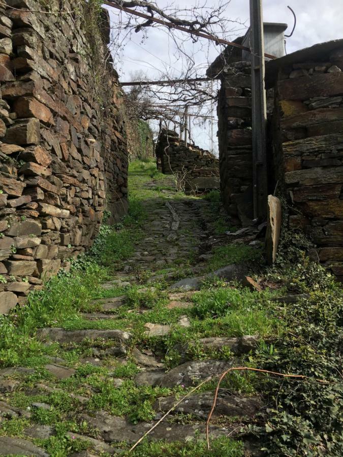 Casa Do Volframio Villa Arouca Dış mekan fotoğraf